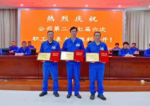 (Figure 3 Commending Advanced Workshop).jpg